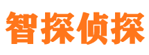 泽库市私家侦探